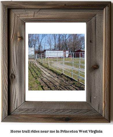 horse trail rides near me in Princeton, West Virginia